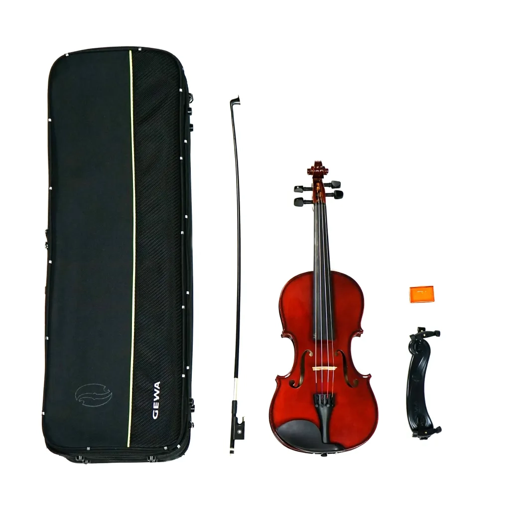 Die Violine als Musikinstrument