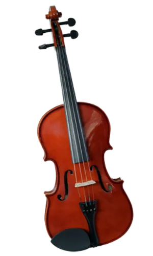 Die Violine als Musikinstrument