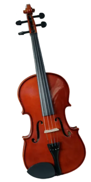 Die Violine als Musikinstrument